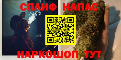 прущие грибы Кунгур