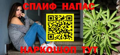 прущие грибы Кулебаки